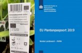 EU Plantenpaspoort 2019 - Naktuinbouw...2019/06/20  · 19-Plantgezondheidswet: voorstel van wet, 2 e kamer ‘Regels betreffende beschermende maatregelen tegen schadelijke organismen