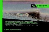 Lippenbroek rapport 2013 2016 ID 12764845 DVVisbestandopnames in het Lippenbroek, een gecontroleerd overstromingsgebied met gereduceerd getij in het Zeeschelde-estuarium Viscampagnes
