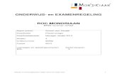 ONDERWIJS- en EXAMENREGELING ROC MONDRIAANstatic.rocmondriaan.nl/assets... · 2017. 11. 14. · 20/20 Business English Werkboek B1 en Handboek 20/20 Opdrachten uit werkboek fase 1