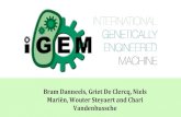 Vandenbussche Mariën, Wouter Steyaert and Chari Bram …2016.igem.org/.../e/ed/T--UGent_Belgium--databanken.pdf · 2016. 10. 19. · DNA computing: our project proposal 16 Simulation