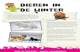 dieren in de winter sjabl · PDF file 2018. 9. 10. · we dieren voor hun vlees, eieren of de melk. Helaas gaat het niet altijd goed met ze. De Dierenbescherming is een organisatie