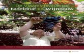 De Vlaams-Brabantse tafeldruif en wijnbou...De Vlaams-Brabantse wijnbouw uylenbergher (Holsbeek) De uylenbergher wijngaard ligt op de uilenberg te Sint-pieters-Rode. Alle wijnstokrassen