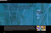 Rietzanger - Geluid in Beeld Natuurgeluiden in De Nieuwe Wildernis · 2012. 12. 3. · in De Nieuwe Wildernis Een jaar geleden kreeg Henk Meeuwsen de vraag of hij de geluidsopnames