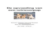 De opvoeding van een retrieverpuplabradorkennel-capsecdiv.nl/wp-content/uploads/Opvoeding...Het opvoeden van een jonge hond verschilt in wezen heel weinig van het opvoeden van mensenkinderen.