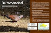 De zomertortel Taxonomie - Aviornis...• Demongin, L., (2016) Identification Guide to Birds in the Hand. Non-Passerine and Passerine families. • Van Grouw, H., (2005) Survival of