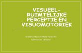 VISUEEL- RUIMTELIJKE PERCEPTIEEN VISUOMOTORIEK · •Zie les fijne motoriek. Ontwikkeling van de visuele, visueel-ruimtelijke perceptie en visuomotoriek . 1. Doe-fase Pasgeborene: