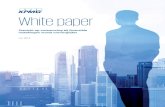 White paper...op Toezicht 2018-2022’. De analyse van de consequenties en nieuwe risico’s van een meer ‘open’ bankensector voor het prudentiële en integriteitstoezicht staan