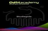 Studiegids - Odin Company · 2020. 1. 12. · ODC-meting de thema’s, patronen en ontwikkelblokkades van je cliënt snel boven water te krijgen. De Level 2-coach voert de regie over