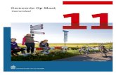 CBS - Gemeente Op Maat 20101.4 Burgerlijke staat, 2010 Eén op de vijf inwoners allochtoon Op 1 januari 2010 telde Nederland 3,36 miljoen allochtone inwoners. Dat komt neer op een