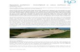 Dynamisch kustbeheer - Kustveiligheid en natuur profiteren ...publications.deltares.nl/EP3372.pdfDe intrede van dynamisch kustbeheer was een omwenteling in het beheer van de kust.