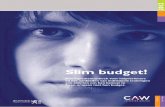 Slim budget!images.budgetinzicht-noordwestvlaanderen.be/... · 2016. 7. 25. · Slim budget!• Ingrediëntenboek voor hulpverleners Deel 1 1.3. Vijf soorten schulden Theoretisch