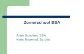 Zomerschool BSA - Onderwijstijdverlenging · 2013. 5. 21. · BSA zomerschool Expliciete doelstelling Duidelijk omschreven doelgroep, zorgvuldige selectie Verbinding regulier onderwijs