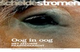 Waterschap Scheldestromen | Scheldestromen - Oog in oog · 2018. 4. 3. · Scheldestromen is het tijdschrift van waterschap Scheldestromen. Iedereen die interesse heeft, kan een gratis