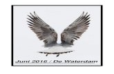 Juni 2016 / De Waterdam · Geboren te Roeselare op 4 april 1931 Echtgenoot van Victor Denise overleden in WZC De Waterdam op 11 mei 2016 Robert verbleef in De Waterdam sinds februari