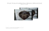 Post Traumatische Stress (Stoornis) - Cranio Sacraal eindwerken - home