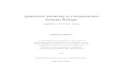 Qualitative Modeling in Computational Systems Biology