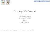Drosophila Suzukii · 2019. 12. 6. · Drosophila Suzukii Suzuki Fruitvlieg Werkplan 2015 voor Wijnbouw Suzuki Fruitvlieg Wijnbouw 23-27 /03/2015 Wine Institute for Northern Europe