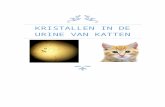 Kristallen in de urine van katten · Web viewHet verkrijgenvan de urine van katten doe ik op de volgende manier. Je kunt bij de dierenarts zakjes verkrijgen waarin niet absorberende