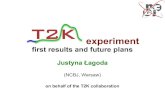 T2K experiment - USNET