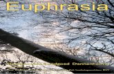 Euphrasia - Duin Lust Park