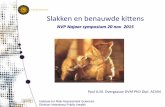 Utrecht University Slakken en benauwde kittens