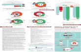 final 20150626 sanitation infographic leaflet a3