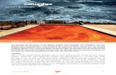 Californication 3 juni 2020 - Valuedge