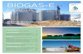 ZOMEREDITIE 2020 MAGAZINE - Biogas-E