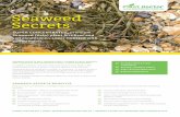 PD SeaweedSecrets-A4brochure-email - Plant Doctor