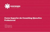 1.Curso Superior de Coaching Ejecutivo Profesional dossier