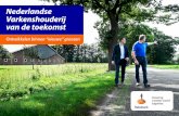 Nederlandse Varkenshouderij van de toekomst
