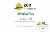 SolarEcoPlus - Zon in Landschap