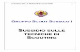 SUSSIDIO SULLE TECNICHE DI SCOUTING