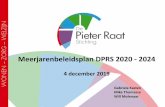 Meerjarenbeleidsplan DPRS 2020 - 2024