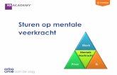 Sturen op mentale veerkracht - hracademy.nl
