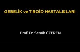 Prof. Dr. Semih ÖZEREN - TMFTP