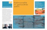Salmonella - Onderzoeksraad