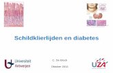 Schildklierlijden en diabetes - NVKVV