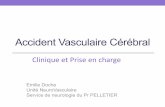Accident Vasculaire Cérébral - pagesperso-orange.fr