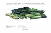 Genetic analysis of heading cabbage traits