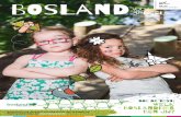 voor bengeLS - Bosland, het grootste avonturenbos van ...