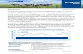 Marktbericht Augustus 2021 - zuivelnl.org