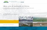 Wise use of wetlands in China - WUR