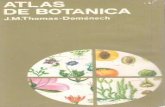 Atlas de botanica - Idema Books