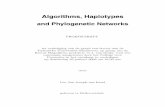 Algorithms, Haplotypes and Phylogenetic Networks