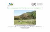 Bosbeheerplan van het domeinbos Orveytbos