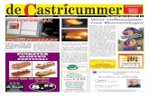 15 mei 2013, week 20 - De Castricummer
