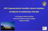 ANCA geassocieerde vasculitis: nieuwe inzichten in ...