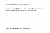 Budd-Chiari Syndrome - RePub - Erasmus Universiteit Rotterdam