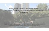 Ecosystem services of urban trees: how can planning and ...
